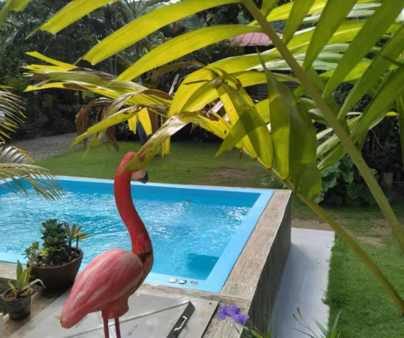 Apartamento Casa Mariana Las Terrenas República Dominicana